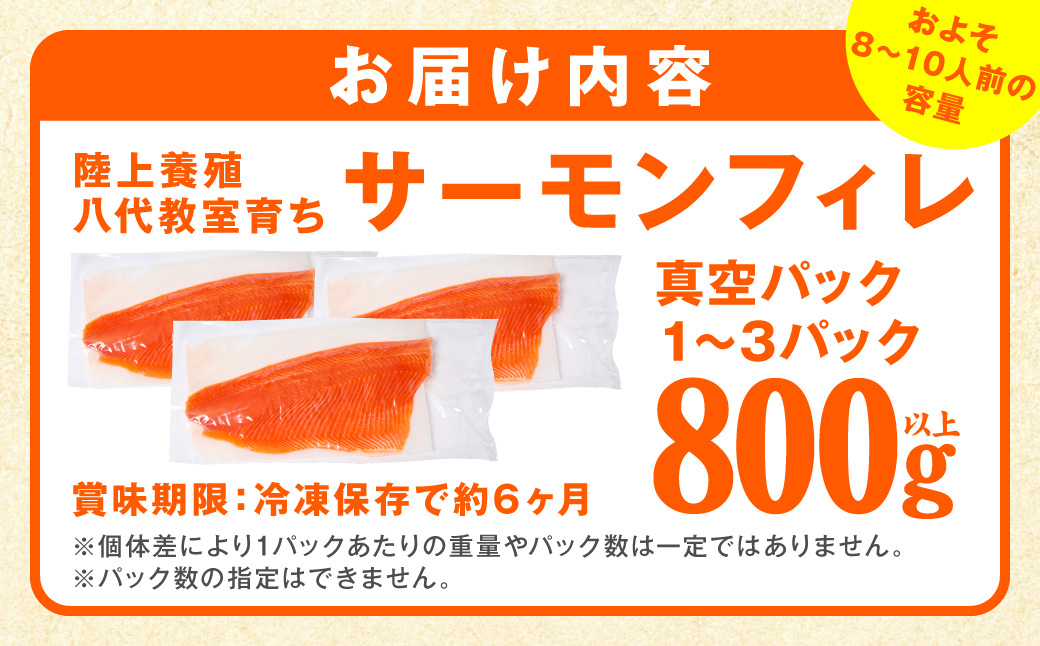 八代 教室育ちサーモン フィレ800g以上 サーモン 刺身 鮭 生食 魚 冷凍 海鮮 さけ サケ シャケ 熊本県 八代市