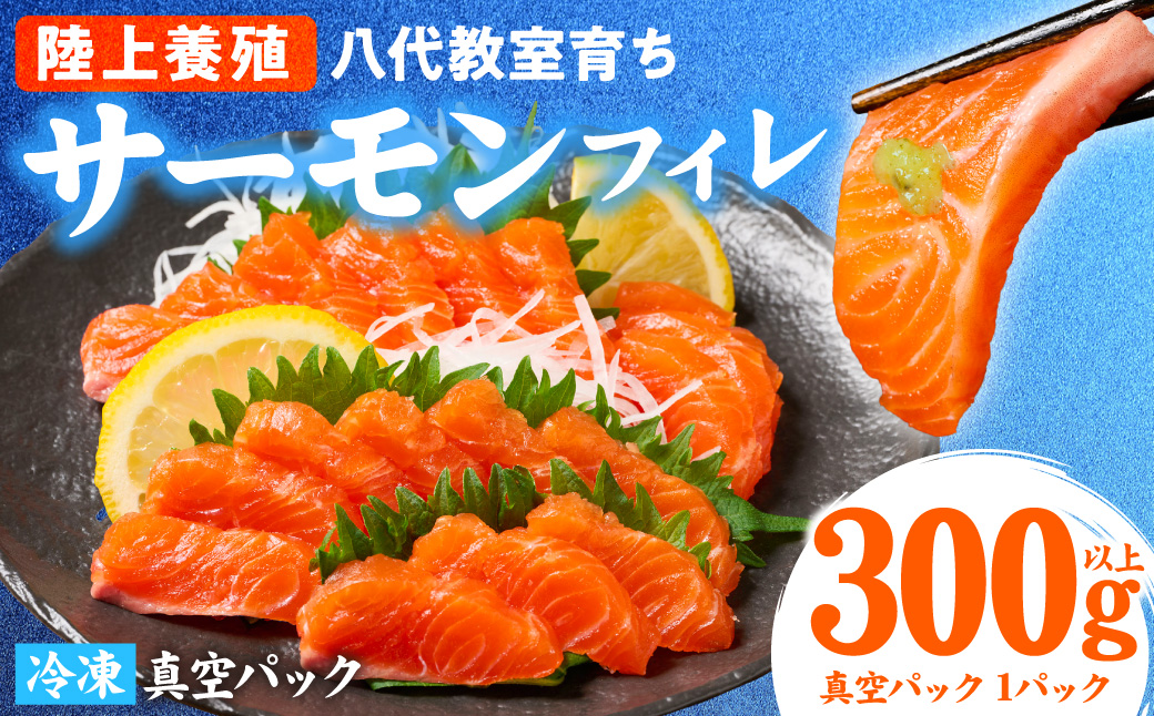 八代 教室育ちサーモン フィレ300g以上 サーモン 刺身 鮭 生食 魚 冷凍 海鮮 さけ サケ シャケ 熊本県 八代市