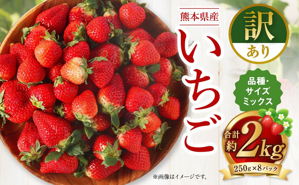 【2023年3月発送開始】熊本県産 いちご 合計 2kg (250g×8) 苺 イチゴ