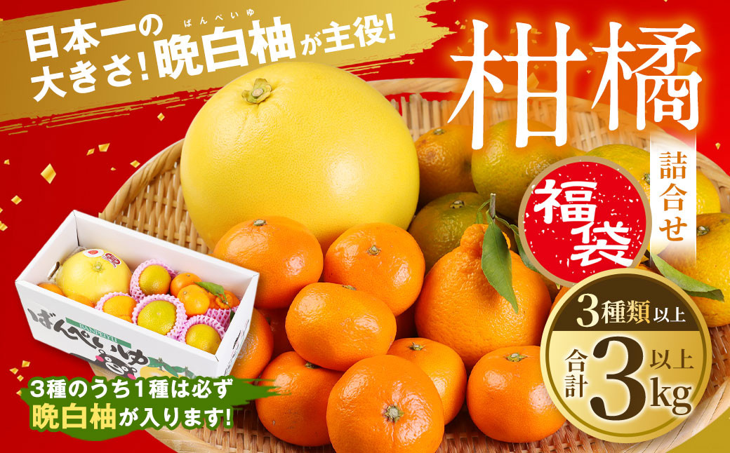 【先行予約】柑橘詰合せ福袋 3種類以上（うち一種は必ず晩白柚が入ります）合計3kg以上