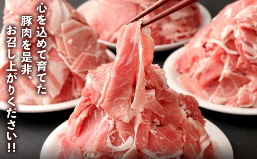 【2022年6月末までにお届け】【訳あり】九州産 豚切り落とし 7袋 合計3.8kg 小分け 豚肉