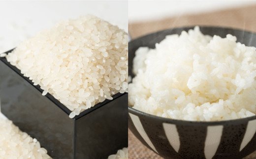 【先行予約】菜の花畑のお米「特別栽培米」5kg×2袋×6回 合計60kg 米