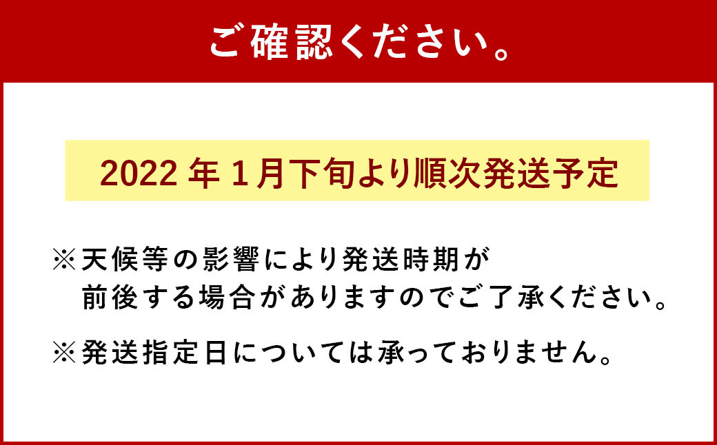 2100円 バーゲンで ふるさと納税 先行予約 フルーツミニトマト 約1kg 令和4