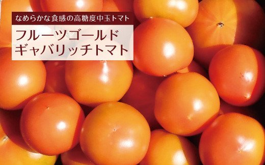 八代市産 宮島農園 トマト 4種 セット 計3kg とまと
