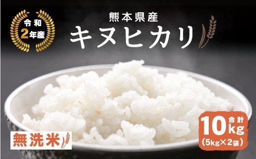 令和2年産 熊本県産 キヌヒカリ 無洗米10kg 5kg×2袋