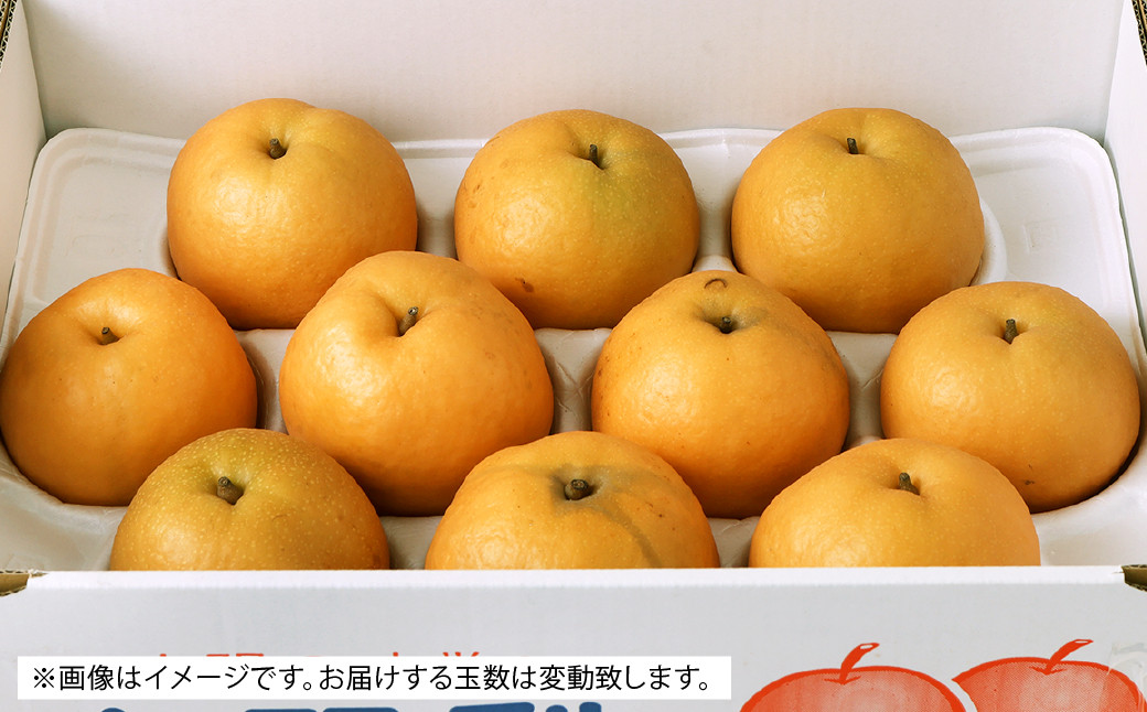 先行予約 新興梨 5kg 7玉 16玉 梨 新興 八代市 熊本県産 Jalふるさと納税 Jalのマイルがたまるふるさと納税サイト 先行予約 新興梨 5kg 7玉 16玉 梨 新興 八代市 熊本県産 Jalふるさと納税 Jalのマイルがたまるふるさと納税サイト