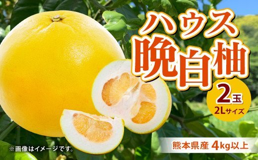 【先行予約】熊本県産 ハウス 晩白柚 2玉 2Lサイズ 4kg以上 果物 ばんぺいゆ