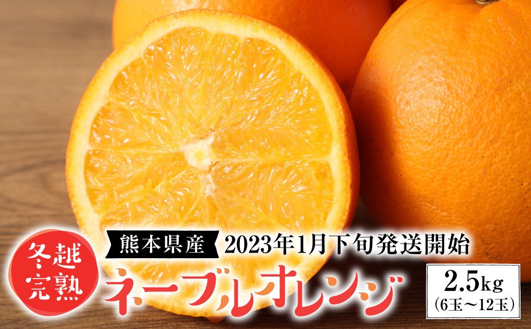 【先行予約】熊本県産 冬越完熟 ネーブルオレンジ 2.5kg （6玉〜12玉） 柑橘