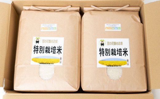 【先行予約】菜の花畑のお米「特別栽培米」5kg×2袋×6回 合計60kg 米