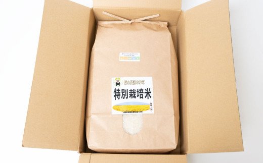 【先行予約】菜の花畑のお米「特別栽培米」5kg×1袋 合計5kg 米