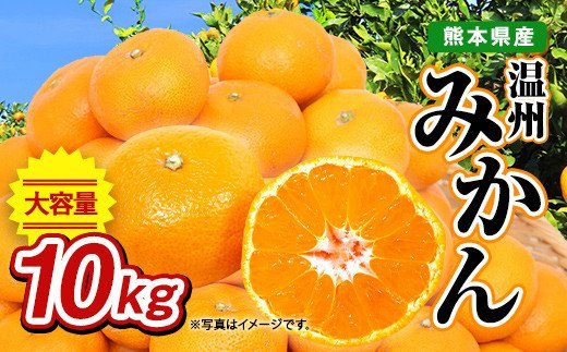 【先行予約】熊本県産 温州みかん 10kg 果物 柑橘 みかん