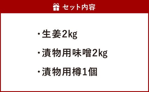 【先行予約】八代市 生姜の里 味噌漬け生姜 手作りセット