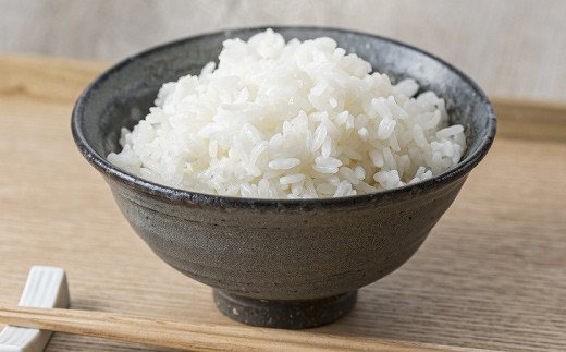 令和2年産 熊本県産 キヌヒカリ 無洗米10kg 5kg×2袋