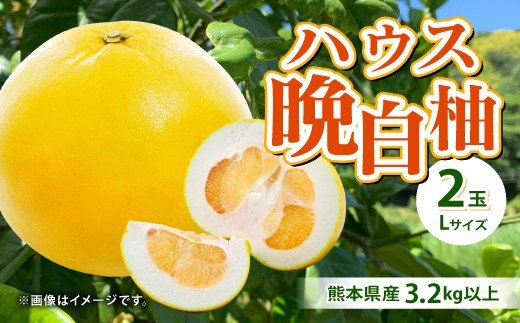【先行予約】熊本県産 ハウス 晩白柚 2玉 Lサイズ 3.2kg以上 果物 ばんぺいゆ