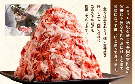 【2022年6月末までにお届け】【訳あり】九州産 豚切り落とし 7袋 合計3.8kg 小分け 豚肉
