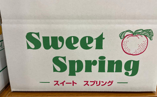 【先行予約】 熊本県八代市産 スイートスプリング 約5kg 柑橘 【2024年12月上旬より順次発送】