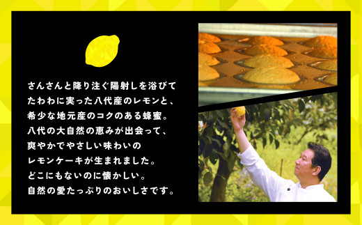 八代市産 レモン使用 レモンケーキ 10個 ボンブ 茶菓子 ケーキ スイーツ 洋菓子