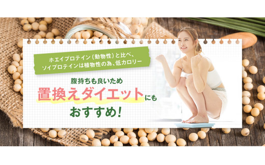 DAYS SOY PROTEIN 抹茶ラテ 風味 計1.5kg（250g×6袋）プロテイン ワークアウト 筋肉 筋トレ 減量