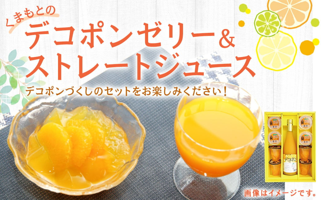 くまもとのデコポンゼリー ジュース セット 果物 柑橘 フルーツ デコポン ゼリー