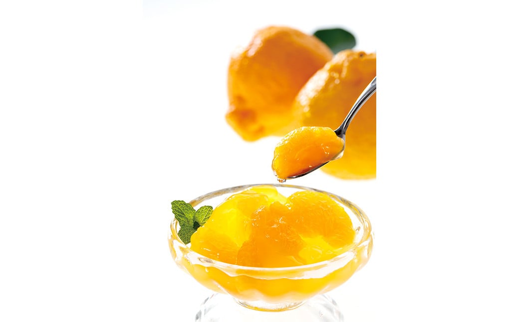 くまもとのデコポンゼリー 130g×12個 デコポン ゼリー 果物 柑橘 フルーツ