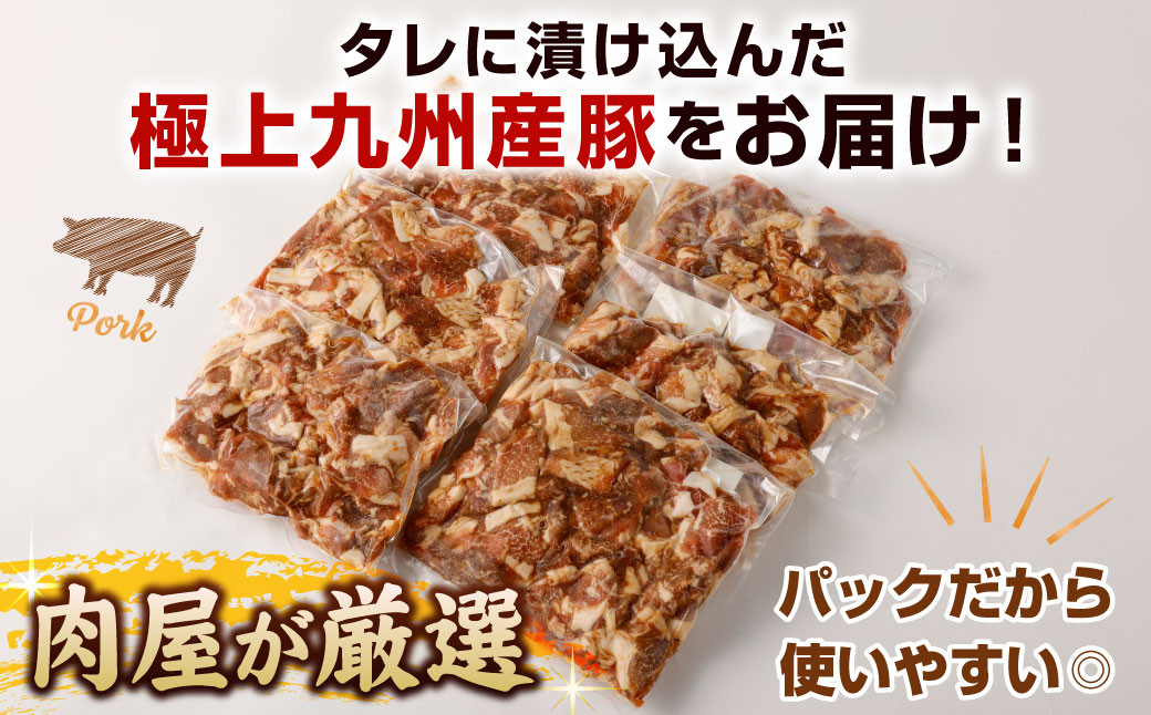 【2ヶ月定期便】 九州産豚 タレ漬け 合計1kg 500g×2袋 ×2回 総計2kg 豚肉 小間切れ コマ切れ 肉 タレ 冷凍 豚 小分け 簡単調理 国産 九州産 定期便 2回 熊本県 水俣市 