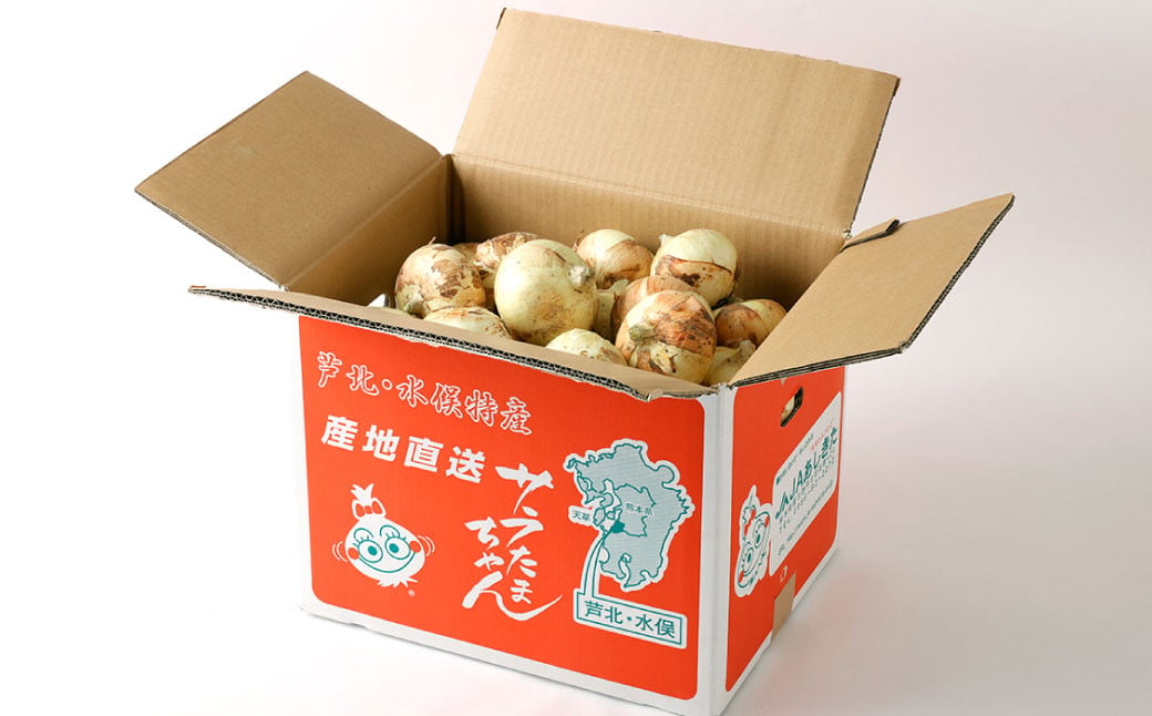 サラたまちゃん 約10kg （30玉前後） 玉ねぎ 野菜 サラダ 水俣市産 【2025年4月上旬‐5月下旬迄発送予定】