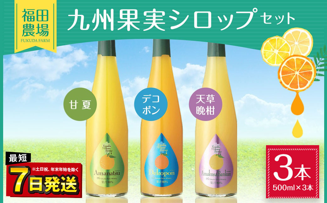 九州 果実 シロップ セット 500ml×3本 甘夏 デコポン 天草晩柑