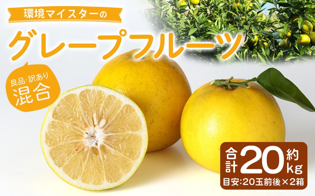 環境マイスターのグレープフルーツ 良品・訳あり混合 20kg （栽培期間中は無肥料・農薬不使用） 果物 くだもの フルーツ グレープフルーツ 柑橘 【2026年3月下旬〜5月下旬迄順次発送予定】
