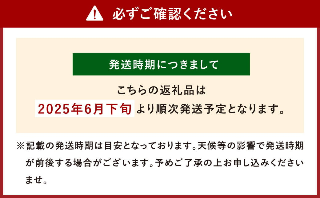 環境マイスターの【良品】 アップルマンゴー 1kg 果物 くだもの フルーツ マンゴー 【2025年6月下旬‐7月下旬迄順次発送予定】