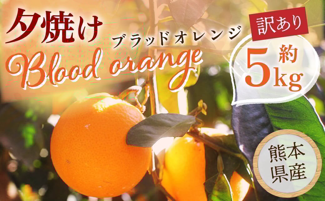夕焼けブラッドオレンジ 訳あり 5kg 果物 くだもの フルーツ 柑橘【2026年2月下旬-6月下旬発送】