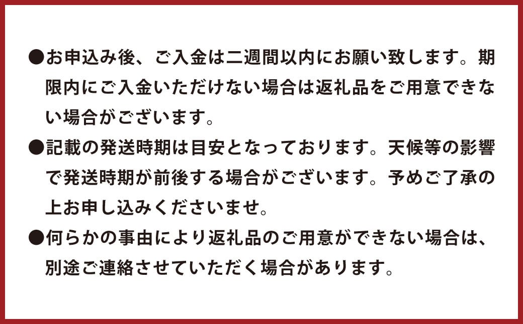 環境マイスターの不知火 良品 10kg （栽培期間中は無肥料・低農薬） 果物 くだもの フルーツ 不知火 しらぬい 柑橘 みかん 【2024年12月下旬-2025年4月下旬迄順次発送予定】