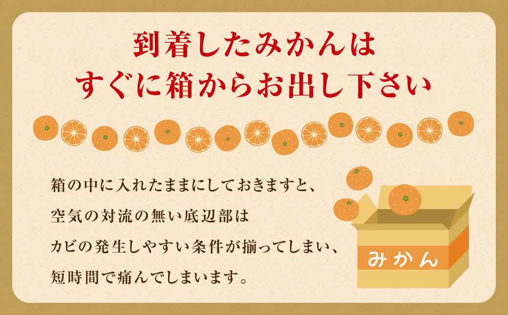 訳あり みかん 約10kg 蜜柑 ミカン 果物 くだもの フルーツ 【2024年10月上旬から2025年2月下旬発送予定】