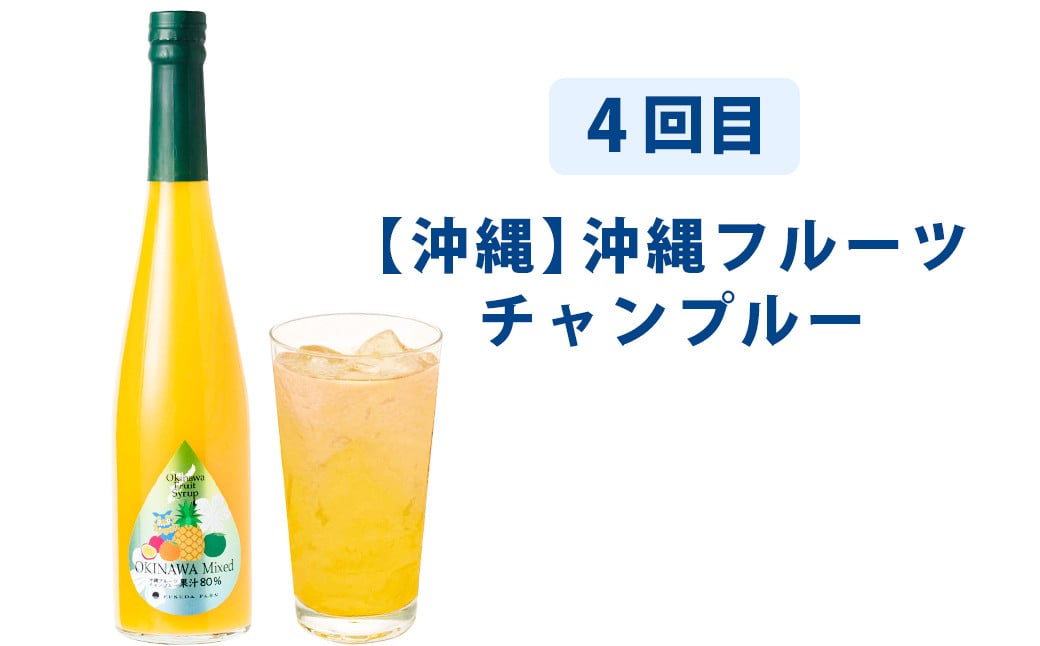 【6ヶ月定期便】 九州を飲む！毎月届く 九州果実シロップ 500ml×1本×6回 6種 果物 フルーツ ジュース