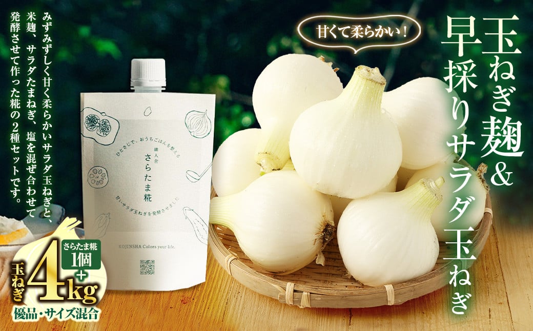 玉ねぎ麹＆1年に1度だけ!甘くて柔らかい!早採りサラダ玉ねぎ 4kg 優品 サイズ混合 ＜栽培期間中農薬不使用/熊本県水俣市産/耕人舎＞さらたま タマネギ 玉葱 野菜 米麹 調味料 セット 熊本県 水俣市産 耕人舎 【2026年3月下旬-4月下旬発送予定】
