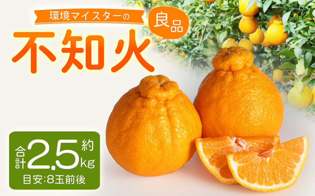 環境マイスターの不知火 良品2.5kg （栽培期間中は無肥料・低農薬） 果物 くだもの フルーツ 不知火 しらぬい 柑橘 みかん 【2026年1月上旬〜4月下旬迄順次発送予定】