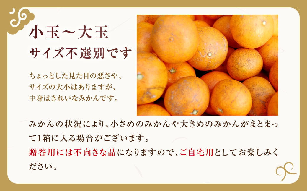 訳あり みかん 約5kg 蜜柑 ミカン 果物 くだもの フルーツ 【2024年10月上旬から2025年2月下旬発送予定】