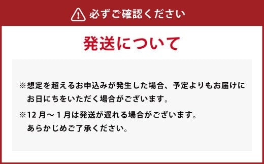 「年内発送」熊本福田農場の クラフト ビール 不知火海浪漫 麦酒 3種 6本 セット