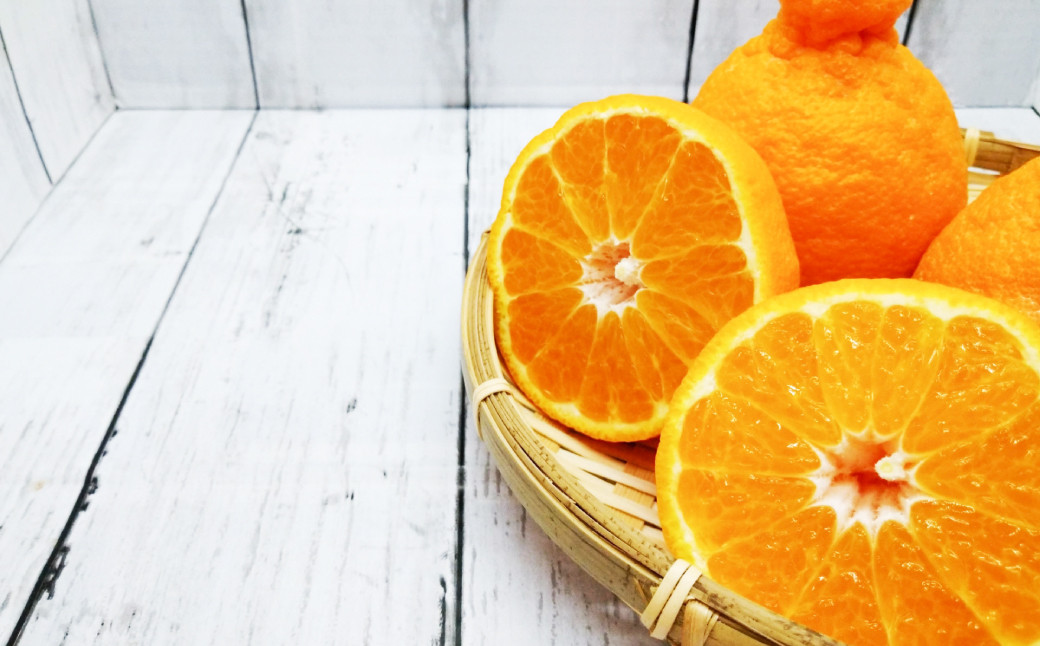 äžç¥ç«ïŒãã³ãã³ååçš®ïŒçŽ10kg æç© ãã«ãŒã åœç£ çæ¬ç æ°Žä¿£åž ã2026幎2æäžæ¬ïœ4æäžæ¬è¿çºéäºå®ã