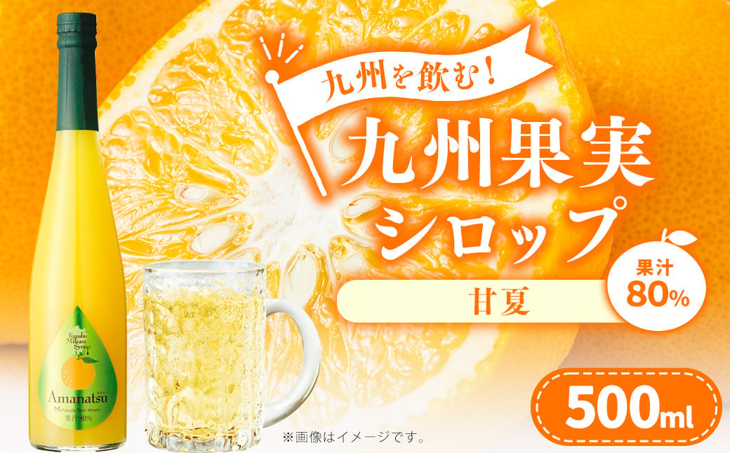 「年内発送」九州を飲む！九州果実 シロップ 甘夏 果物 フルーツ 柑橘 ジュース