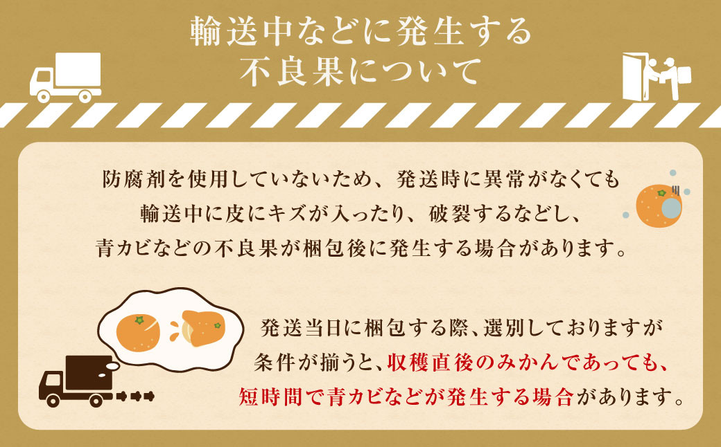 訳あり みかん 約5kg 蜜柑 ミカン 果物 くだもの フルーツ 【2024年10月上旬から2025年2月下旬発送予定】