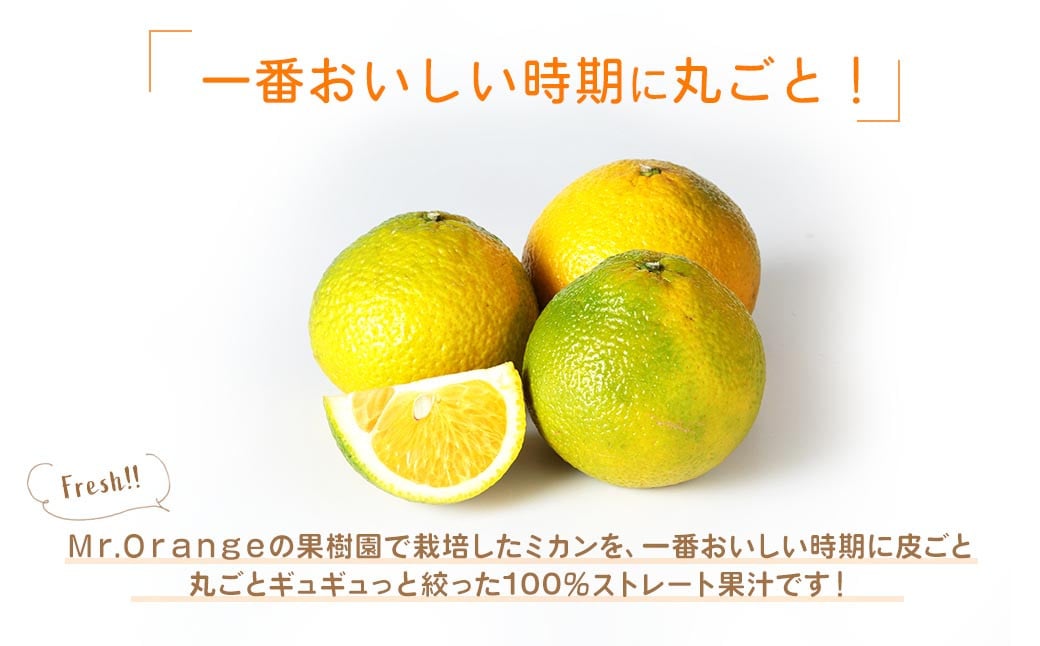 環境マイスターのスイートスプリング 100%ストレート果汁 500ml×6本セット（無肥料／栽培期間中農薬不使用／食品添加物無添加） ストレート 国産 スイートスプリング 柑橘類 果汁