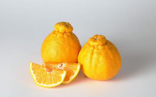 環境マイスターの不知火 良品 10kg （栽培期間中は無肥料・低農薬） 果物 くだもの フルーツ 不知火 しらぬい 柑橘 みかん 【2026年1月上旬〜4月下旬迄順次発送予定】