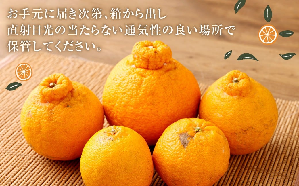 【訳あり】 ご家庭用 濃厚不知火 10～20玉 （ 約4kg ） デコポン みかん 柑橘 果物 フルーツ 熊本 【2026年2月下旬～3月上旬迄発送予定】