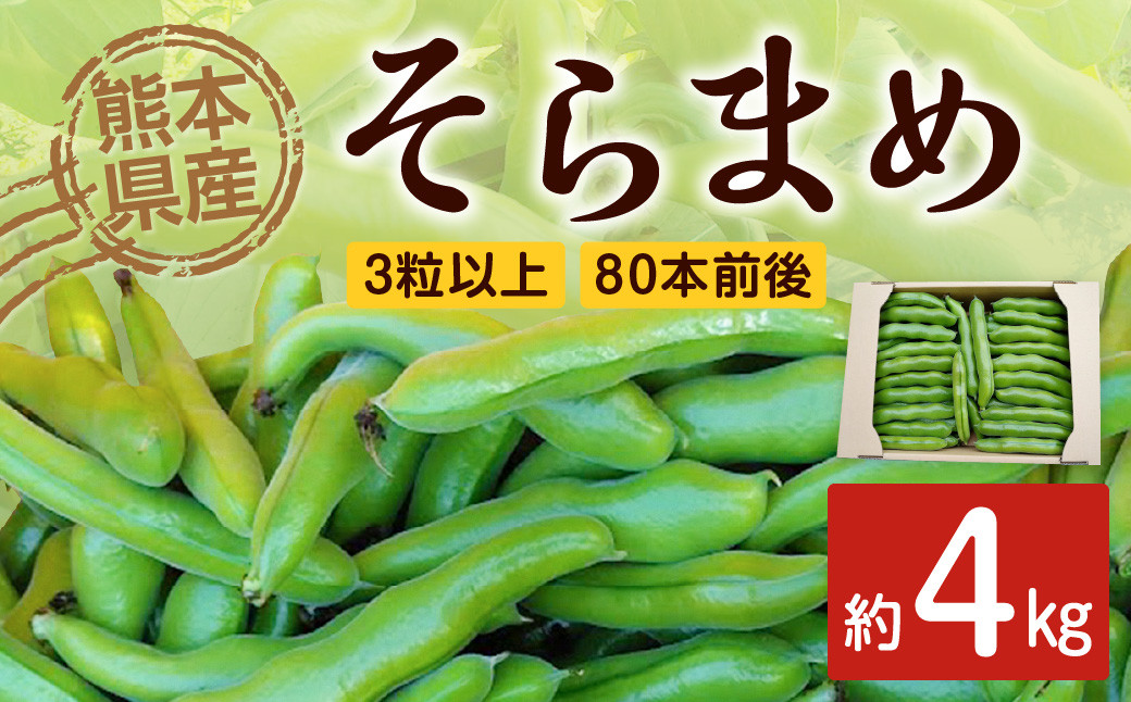 熊本県産 そらまめ 約4kg 3粒以上 80本前後 野菜 豆類 そら豆 【2026年4月上旬-4月下旬迄発送予定】