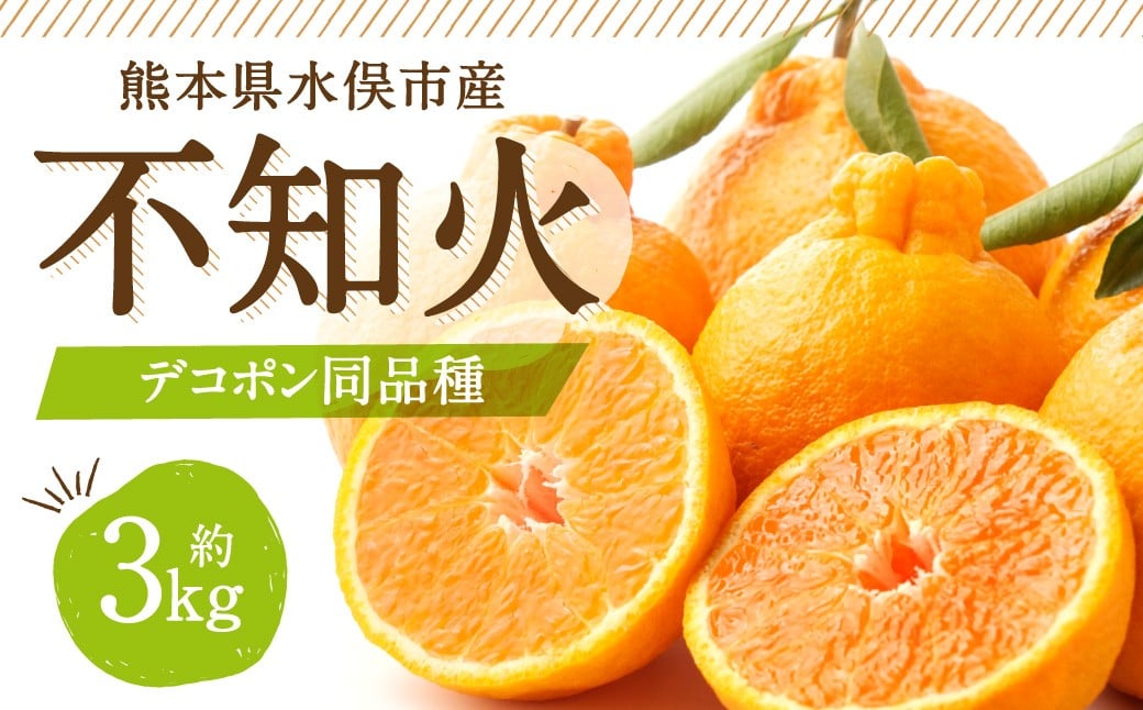不知火（デコポン同品種）6～13玉 約3㎏ 【2026年2月上旬～4月上旬迄発送予定】 みかん 不知火 フルーツ 果物 詰合せ 贈答品 常温 熊本県 水俣市