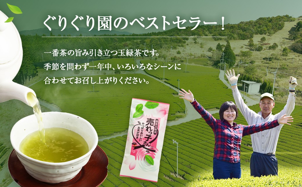 熊本 玉緑茶「売れっ子さん」90g×9袋 緑茶 茶葉 セット