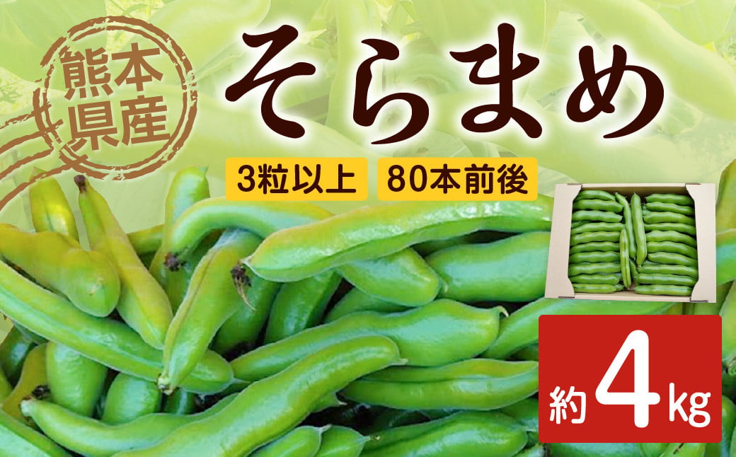  熊本県産 そらまめ 約4kg 3粒以上 80本前後 野菜 豆類 そら豆 【2025年4月上旬‐4月下旬迄発送予定】