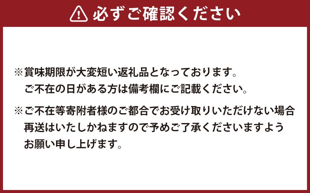 温州みかん 約3kg 2S〜2Lサイズ 温州 みかん ミカン 蜜柑 果物 フルーツ 季節 旬 国産 九州 熊本県 水俣市 【2026年11月上旬-2027年2月下旬迄発送予定】