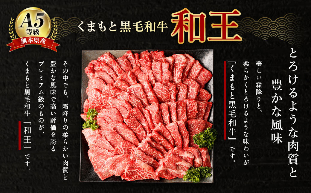 熊本県産 A5等級 和王 柔らか赤身 焼肉 合計約900g (300g×3P) 牛肉 赤身肉