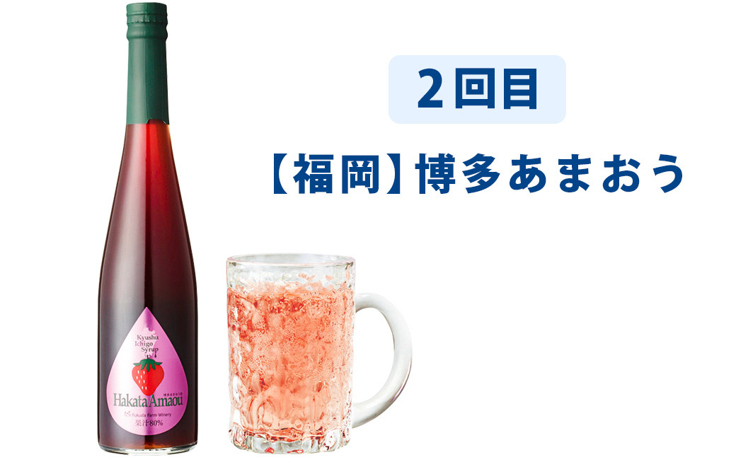 【3ヶ月定期便】 九州を飲む！毎月届く 九州果実シロップ 500ml×1本×3回 果物 フルーツ ジュース デコポン あまおう 日向夏